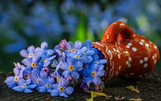Обои голубой, букет, ваза, цветы
