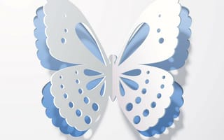 Картинка крылья, 3D, тень, рендеринг, бабочка