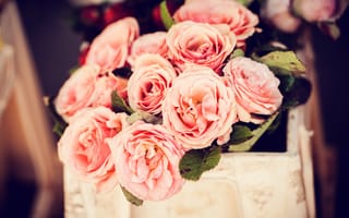 Картинка розы, цветы, бутоны, розовые, лепестки, корзина