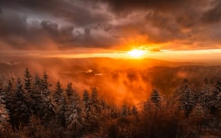Картинка солнце, снег, snow, mountains, пейзаж, природа, ель, dawn, горы, landscape, nature, sunshine, туман, рассвет, sun, Германия