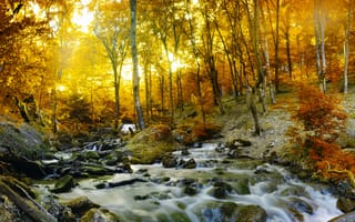Картинка природа, деревья, пейзаж, водопад, лес, осень, река
