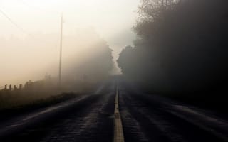 Обои туман, пейзаж, утро, дорога