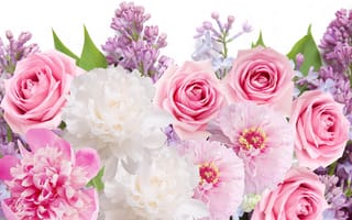 Картинка цветы, пионы, peonies, розы, lilacs, flowers, сирень, roses