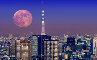 Картинка мегаполис, синее, город, ночь, освещение, полнолуние, башня, небо, небоскребы, Япония, луна, Токио, столица, здания