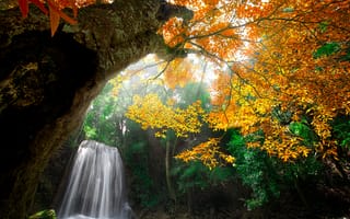 Картинка nature, водопад, fall, осень, water, park, парк, воды, colorful, leaves, autumn, waterfall, colors, trees, деревья, лес, природа, листья, forest