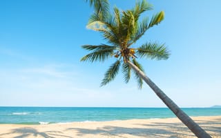 Обои песок, море, palms, небо, берег, beautiful, пляж, волны, beach, sea, paradise, seascape, summer, лето, sand, пальмы