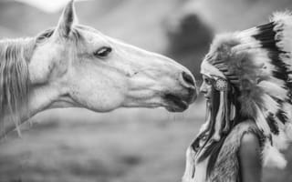 Картинка черно-белое, девушка, головной убор, лошадь, конь, перья