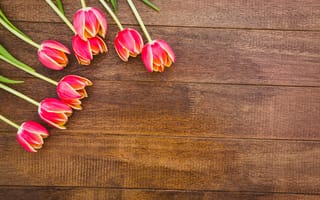 Картинка цветы, букет, tulips, красные, red, flowers, wood, тюльпаны
