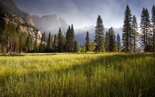 Картинка meadow, early morning, Yosemite Valley