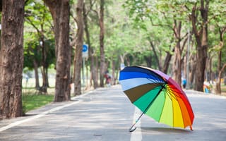 Картинка дорога, лето, summer, colorful, аллея, деревья, парк, радуга, зонт, park, umbrella, rainbow
