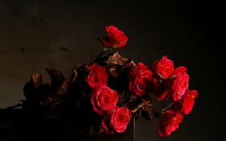 Картинка темный, букет, цветы, Розы