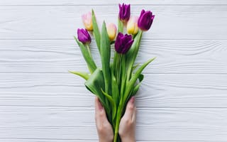 Картинка цветы, flowers, wood, тюльпаны, purple, букет, tulips, spring, фиолетовые