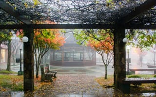 Картинка скамейка, осень, rain, city​​, bench, autumn, дождь, город