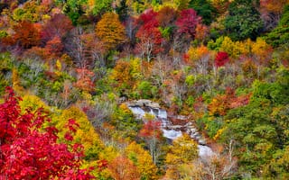 Картинка горы, лес, осень, река, листья, деревья
