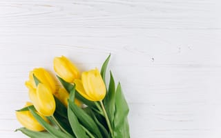 Картинка цветы, букет, flowers, yellow, wood, fresh, желтые, тюльпаны