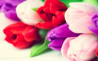 Картинка цветы, букет, red, wood, white, тюльпаны, flowers, colorful