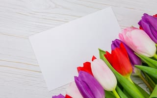 Картинка цветы, букет, flowers, red, white, colorful, тюльпаны, wood