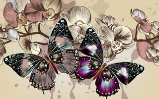 Картинка бабочки, цветы, вектор, цвета, крылья