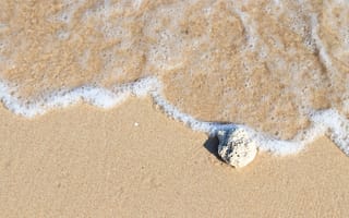 Картинка песок, море, лето, summer, beach, sea, волны, пляж