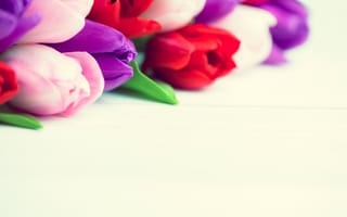 Картинка цветы, букет, colorful, white, red, wood, тюльпаны, flowers