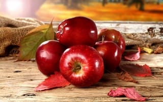 Обои осень, красные яблоки, листья