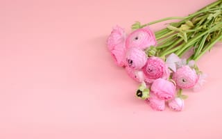 Картинка цветы, pink, flowers, букет, ranunculus, розовые