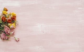Картинка цветы, flowers, colorful, wood