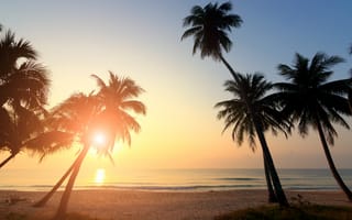 Картинка песок, море, beautiful, пальмы, волны, summer, beach, берег, пляж, закат, sand, небо, sunset, sea, seascape, 