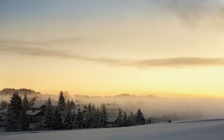 Картинка лес, снег, зима, туман, ели, дома, утро, рассвет, деревня