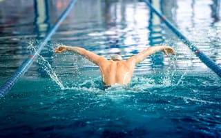 Картинка water, swimming, butterfly swim