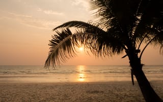 Картинка песок, море, sunset, пальмы, волны, seascape, небо, sea, лето, берег, beach, закат, sand, пляж, summer, beautiful