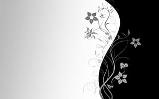Картинка цветы, серый, текстура, узор, черный, вектор