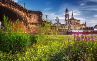 Картинка Dresden, город, Дрезден, луг, Германия