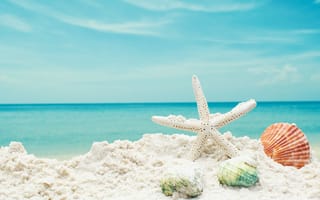 Картинка песок, summer, seashells, пляж, ракушки, beach, sea, звезда, blue, sand, море, starfish