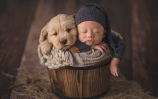 Картинка настроение, кадка, шапочка, сон, спящий, щенок, собака, младенец, малыш, ребёнок