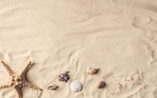 Картинка песок, ракушки, морская звезда