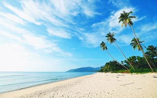 Картинка песок, море, beach, palms, небо, paradise, пальмы, seascape, пляж, берег, sand, sea, summer, лето, волны, beautiful