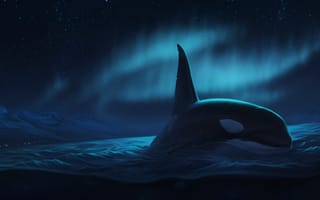 Картинка ночь, by Ciorano, океан, северное сияние, касатка