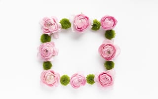 Картинка цветы, розовые, flowers, peonies, pink, пионы, floral, 