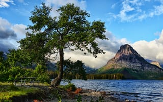 Картинка горы, озеро, пейзаж, дерево
