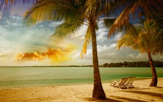 Картинка tropical, море, пальмы, palm, summer, beach, sea, берег, песок, пляж