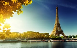 Картинка Paris, autumn, Париж, leaves, Eiffel Tower, осень, France
