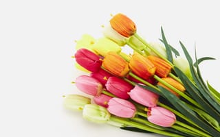 Картинка цветы, весна, тюльпаны, tulips, spring, flowers, colorful