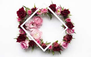 Картинка цветы, flowers, pink, roses, пионы, розы, red, floral, розовые, frame, peonies