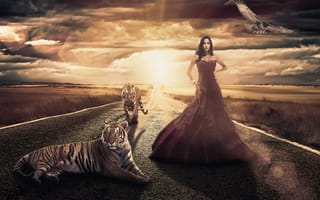 Картинка девушка, поля, Andreza Alves, птица, платье, тигры, дорога