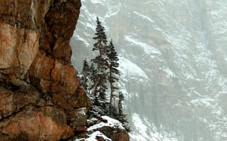 Картинка горы, Rocky Mountain National Park, Colorado, природа, деревья, скалы