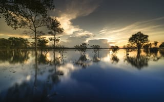 Картинка деревья, озеро, облака, отражение