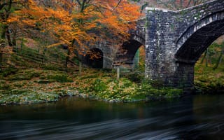 Картинка лес, осень, река, мост, деревья, парк