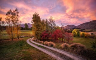 Картинка холмы, утро, горы, Новая Зеландия, осень, дорога
