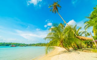 Обои песок, summer, seascape, paradise, берег, пальмы, palms, волны, sand, лето, beautiful, пляж, небо, море, beach, sea
